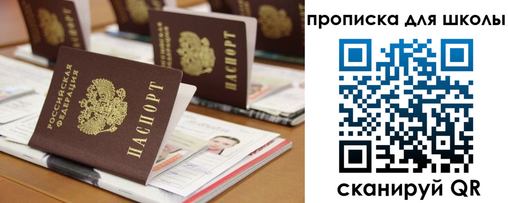 временная регистрация надежно в Покрове